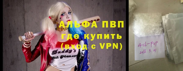 PSILOCYBIN Фёдоровский
