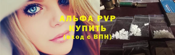 эйфоретик Карпинск