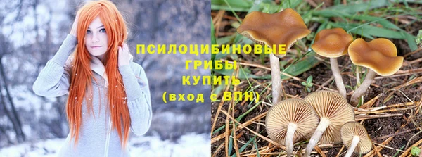 Альфа ПВП Карталы