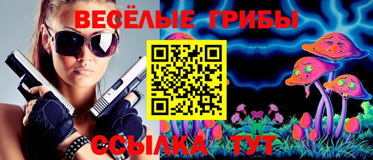 Галлюциногенные грибы Psilocybe Реж